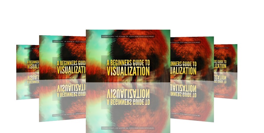 A Beginners Guide To Visualization